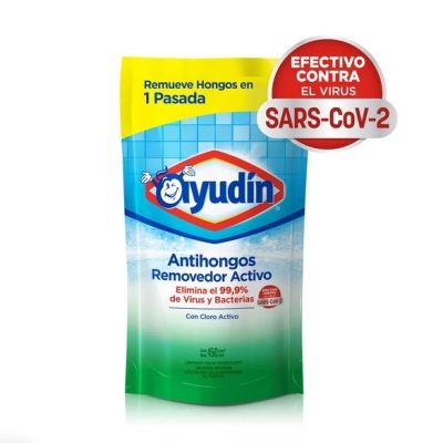 AYUDIN ANTIHONGOS  450 ML